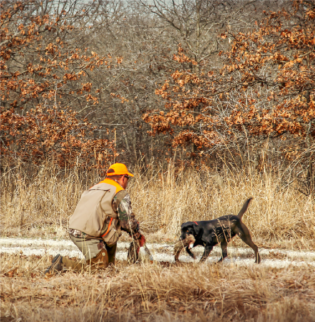 Pheasant Hunting Near Me | Legacy Ranch