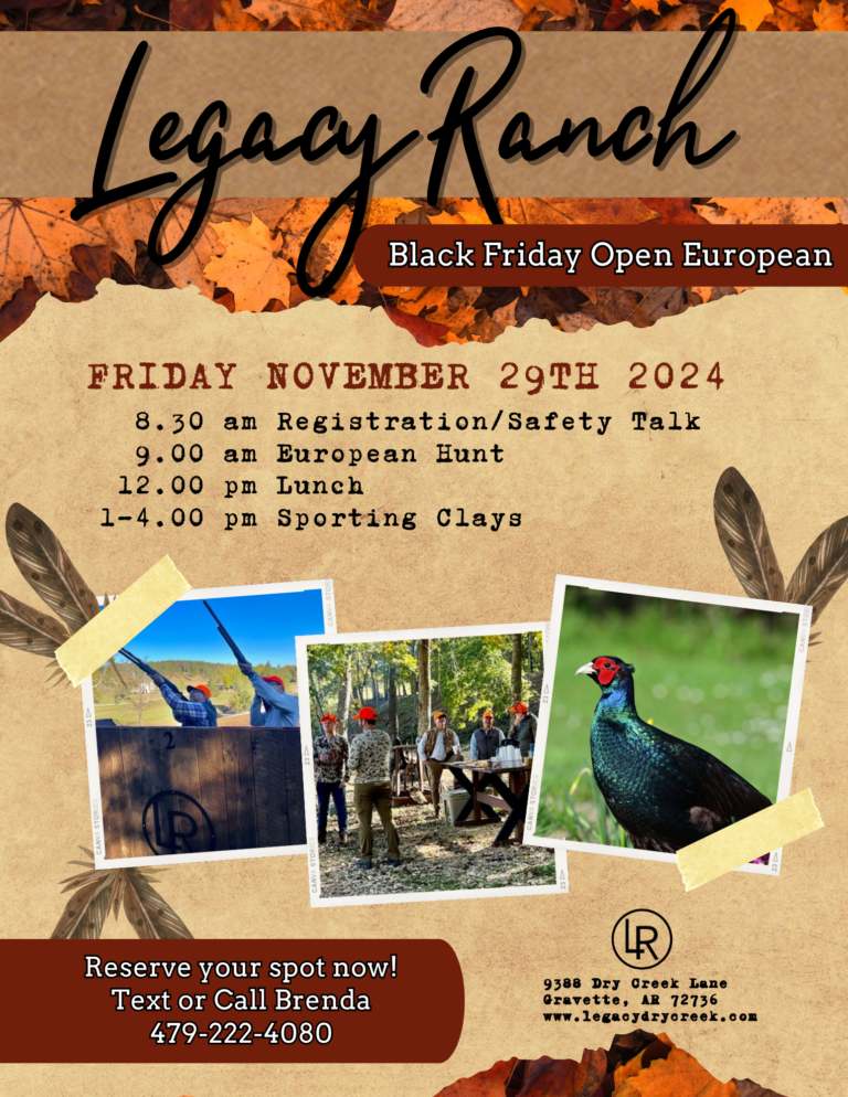 Black Friday Pheasant European Hunt